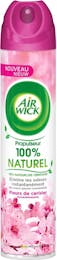 Air Wick Lufterfrischer Spraydose Cherry Blossom 100% Natural 240 ml