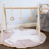 Baby Play Gym Wit